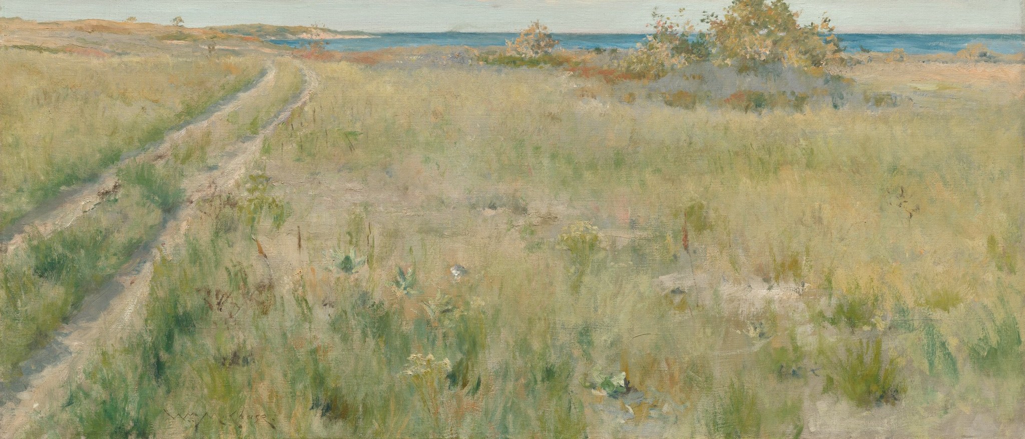 Tall dry grasses line the path.