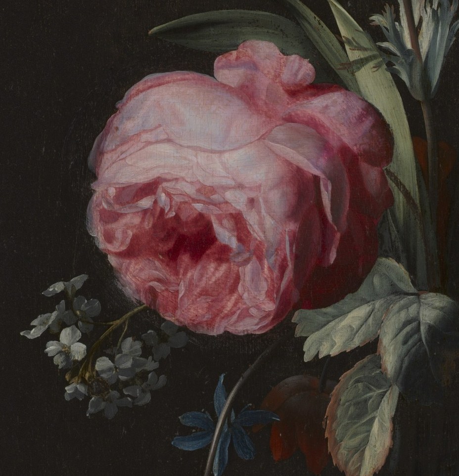 The compositional anchor , fully blown petals spiral outward in layered pink, demonstrating trompe-l'oeil illusionism; dewdrops on the outer petals reward extreme close-up