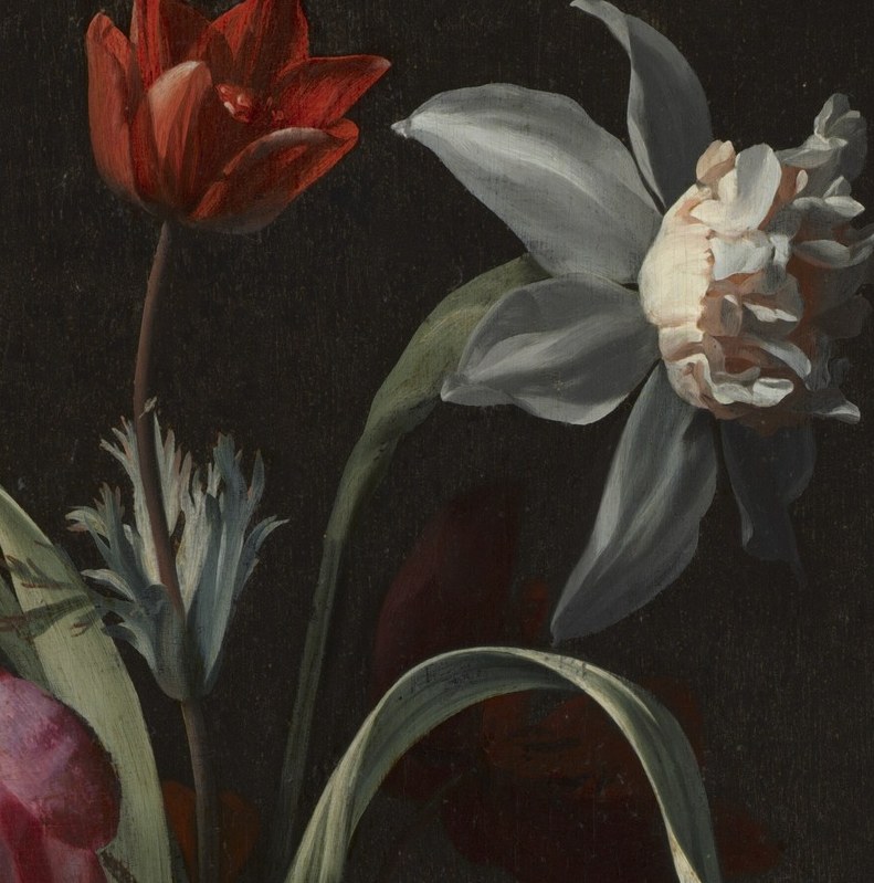 The graceful arc creates diagonal energy; narcissus carried vanitas resonance (beauty that turns inward and fades), anchoring the painting's memento mori subtext