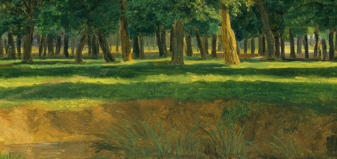 And how it dappled across the grass in the foreground.
