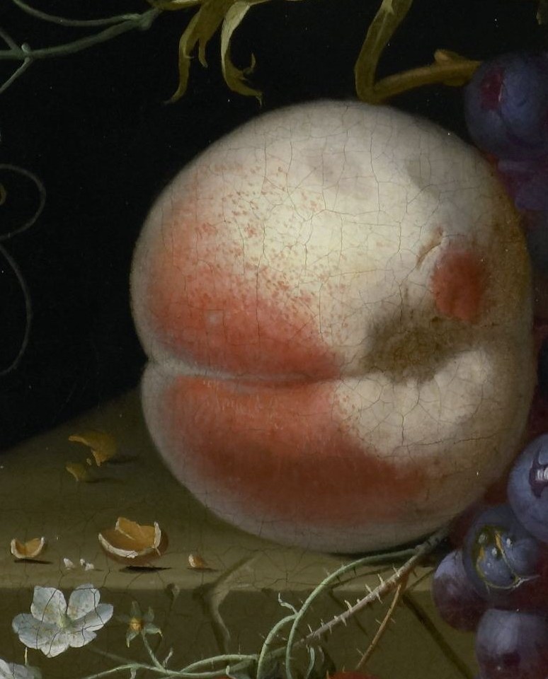 Its soft blush and subtle texture invite touch, suggesting ripeness and sweetness.