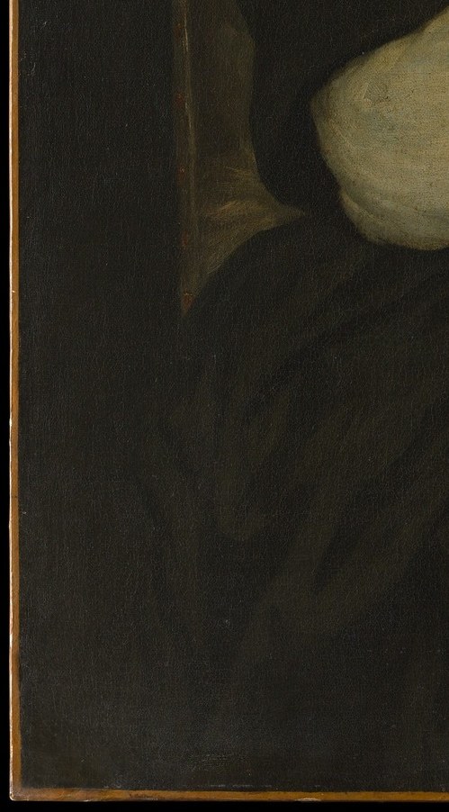 He captures the heavy texture of velvet, its deep, light-absorbing color.