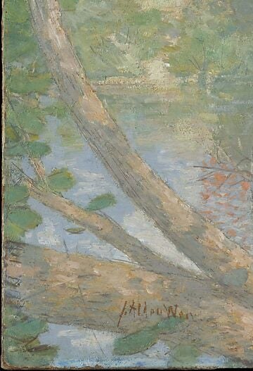 The rough bark and strong diagonal line of this tree create a sense of depth and frame the scene.