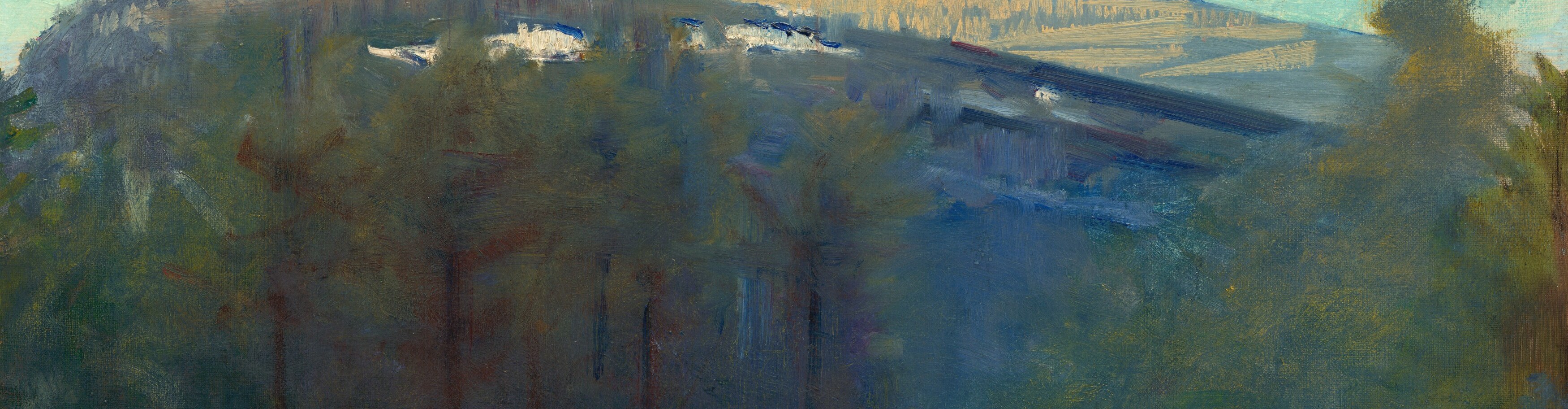 The dense, dark mass of trees forms the bulk of the mountain's appearance, conveying its scale and wildness.