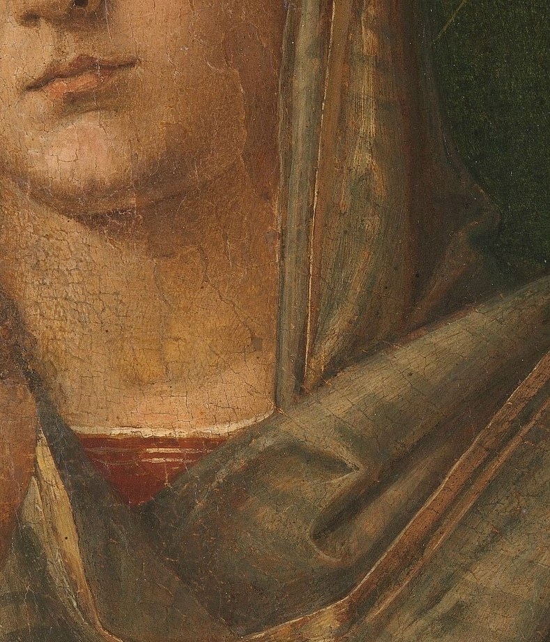 He was known for 'exploiting Leonardo's repertory' of techniques.