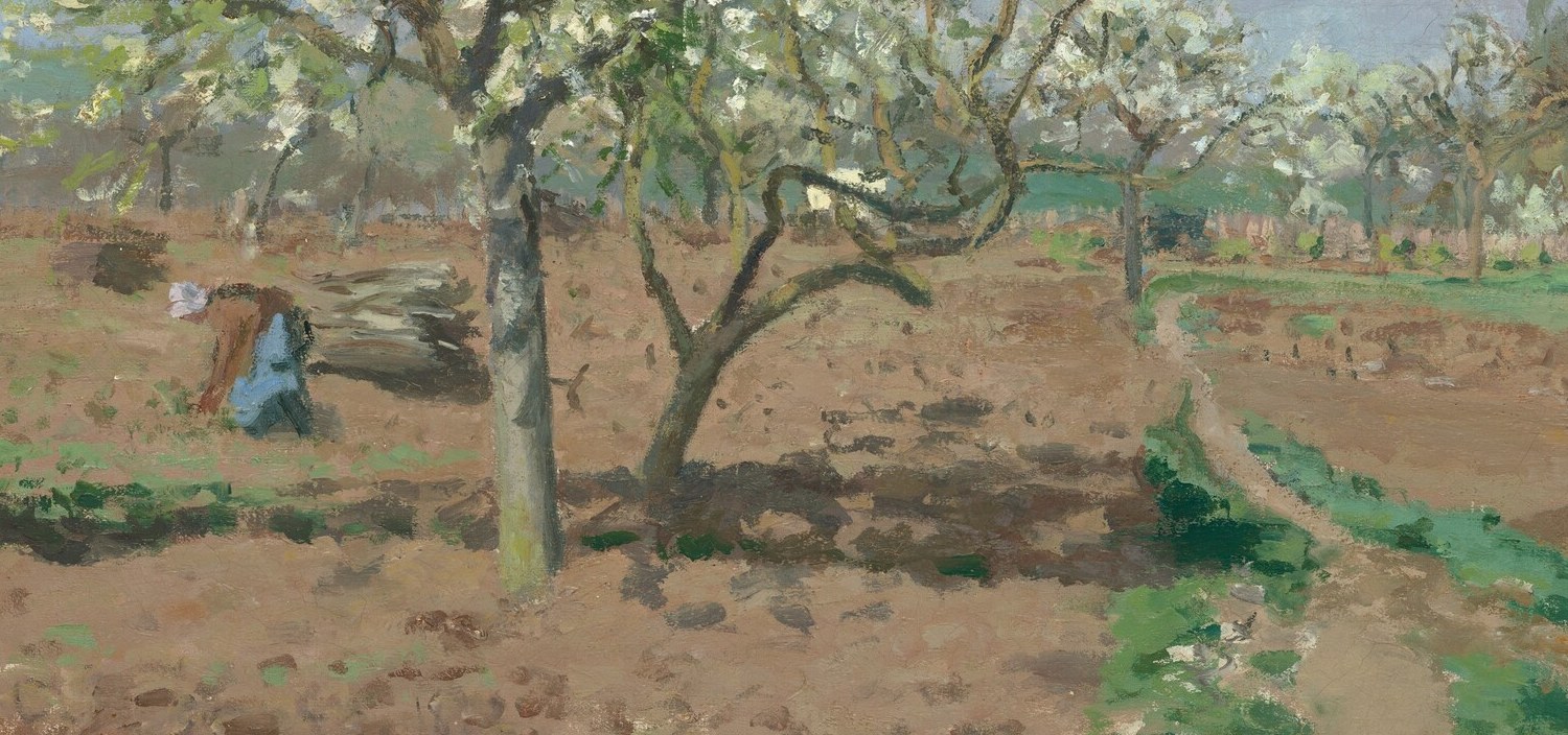 The warm, heavily worked soil is painted with visible directional strokes that convey texture; it contrasts brilliantly with the white blossoms above.