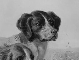 One dog points, guiding the hunter's eye.