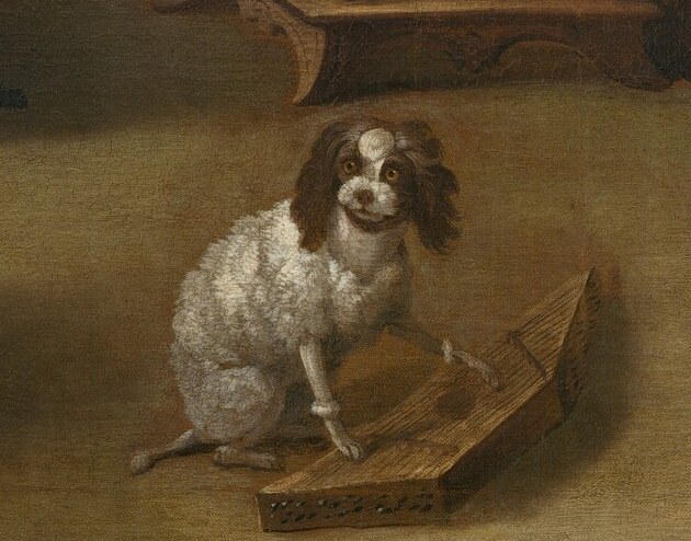 A sheep and a dog: silent, unimpressed witnesses to the whole charade.