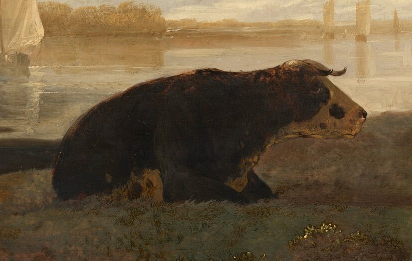 Cows were vital to the Dutch economy, for dairy and meat.