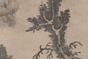 Its twisted branches and sparse needles suggest resilience and age.