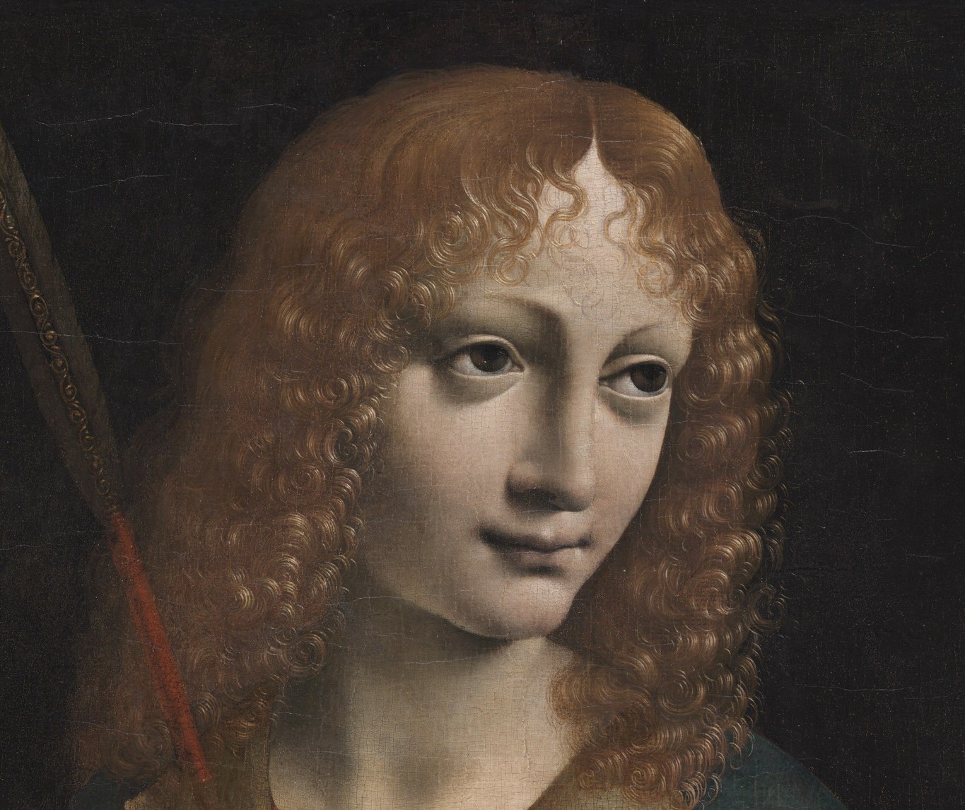 A virtuoso passage of individual curl rendering , each ringlet distinct yet cohesive , directly echoing Leonardo's own studies of curling hair and water flow; unusually warm reddish tone for a Sforza heir