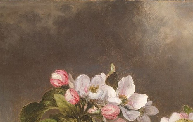 Each leaf carries distinct highlights and cast shadows; the botanical specificity identifies the species as clearly as the blossoms do.