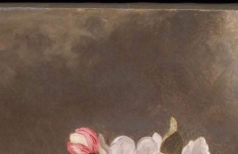 Multiple bloom stages compressed onto one branch , bud, half-open, and full , quietly narrating a passage of time within a static image.