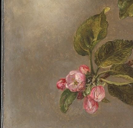 A secondary composition in the corner , unopened buds suggest potential and a future bloom, balancing the open flowers above with patient anticipation.