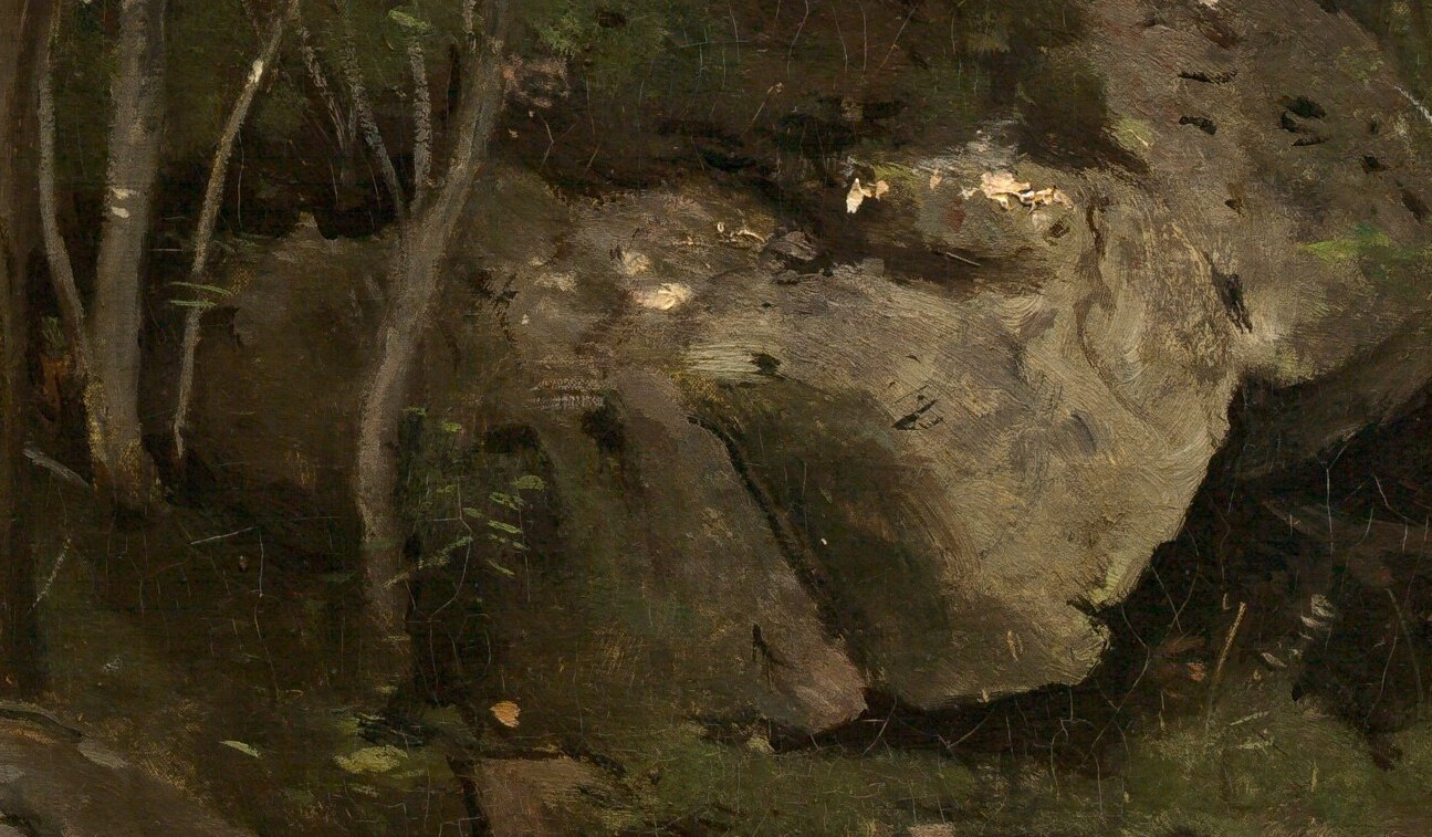The interplay of light and shadow on the rocks creates a sense of depth and the ruggedness of the terrain.