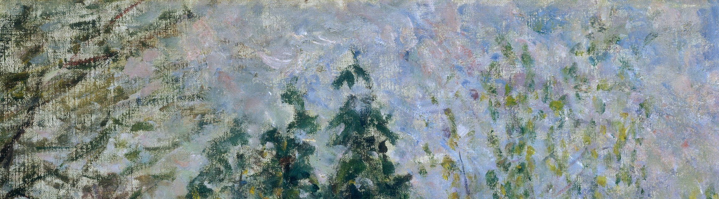 Look up at the treetops.