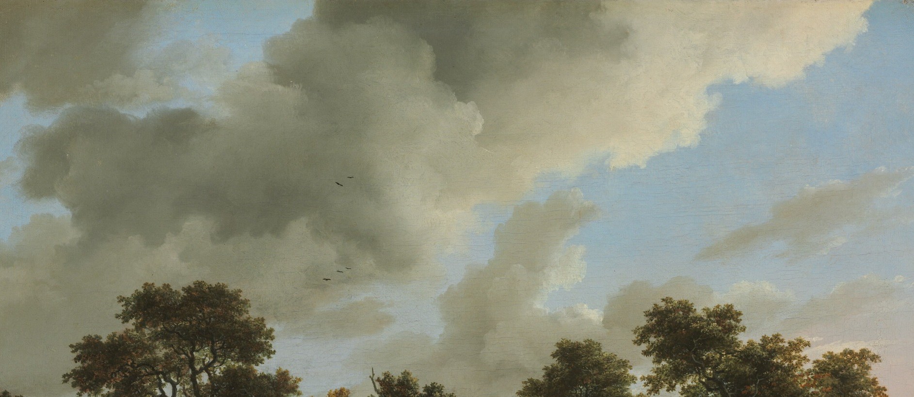 Ruisdael's signature sky , the towering clouds dwarf the landscape below and carry most of the painting's emotional weight; a slow push into the cloud architecture rewards attention