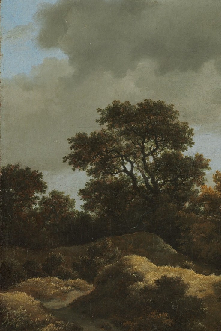 Kept deliberately cool and unlit to push the eye toward the sunlit center; the tonal contrast is the composition's primary depth engine