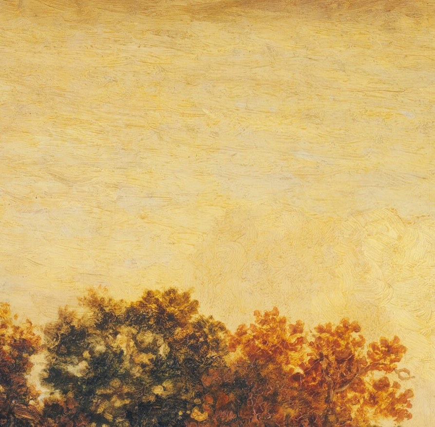 It is a tiny gap in the canopy, burning through the leaves.