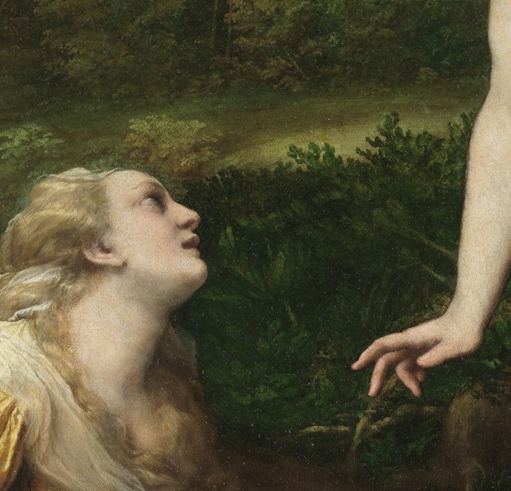 His open palm arrests her mid-reach.