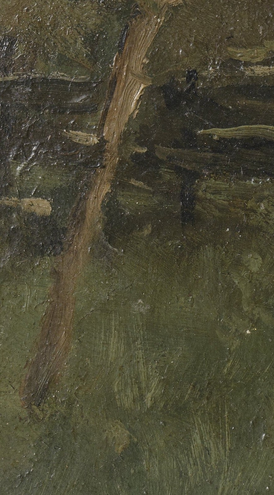 Its rough texture and dark color suggest age and resilience, anchoring the composition.