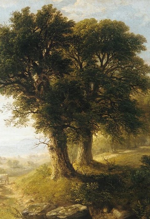 The compositional spine of the painting , its diagonal pull toward the river references English pastoral structure Durand absorbed from Constable; every eye returns here.