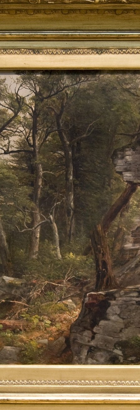 A textbook Hudson River School framing device , the bare-limbed tree pulls the eye vertically and frames the rock face behind it.