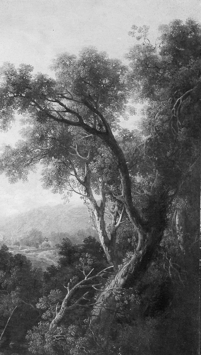 The dominant framing tree uses a classical repoussoir device , dark foliage against lighter sky , to push depth into the center; its curved silhouette is a hallmark of Zuccarelli's Rococo landscape style.