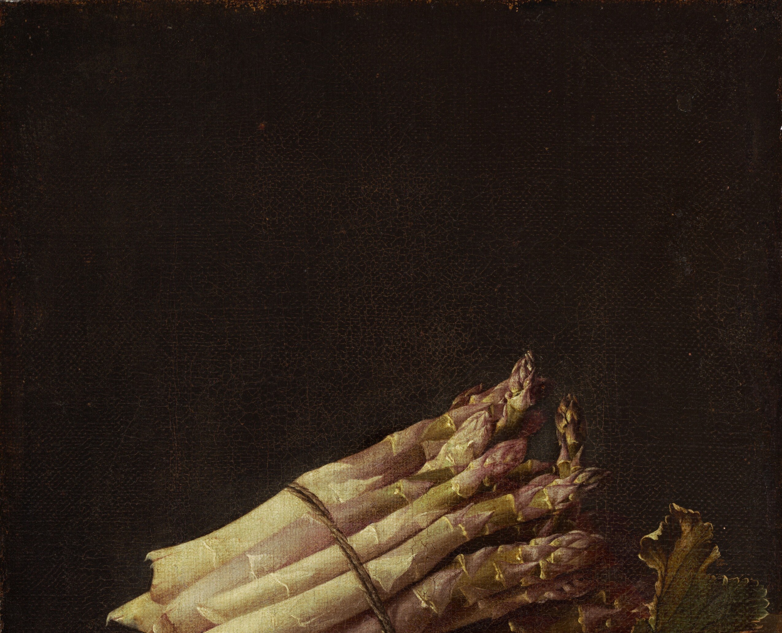 Adriaen Coorte had been nearly erased from history.