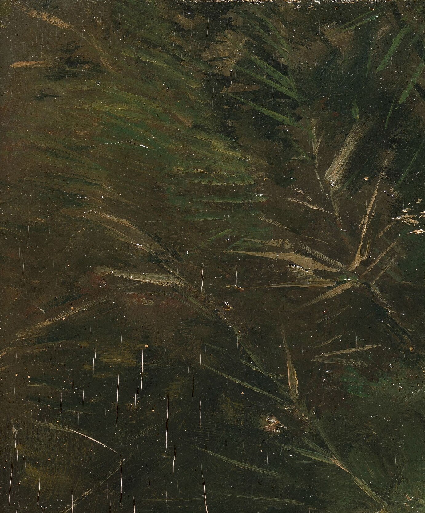 Now look left. Past the reeds.