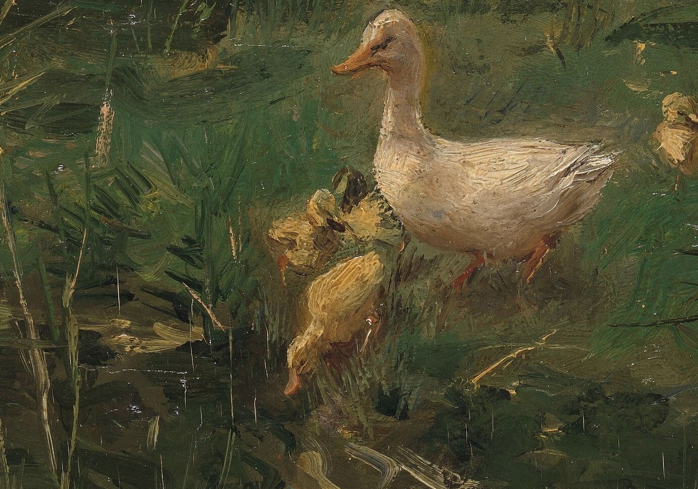 A mother duck and her brood. Simple enough.