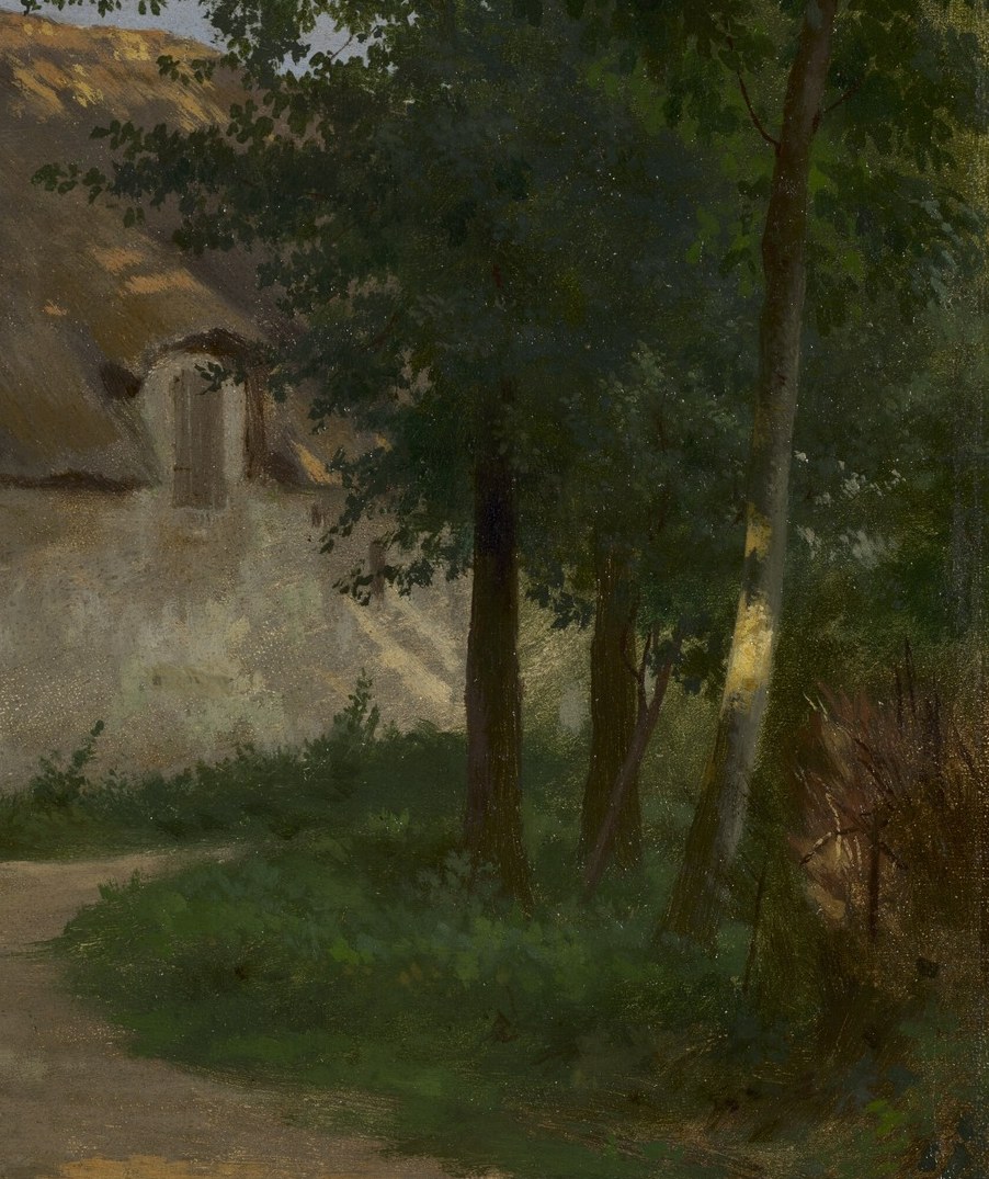 The deep shadows and varied greens of the foliage create a sense of depth and natural enclosure.