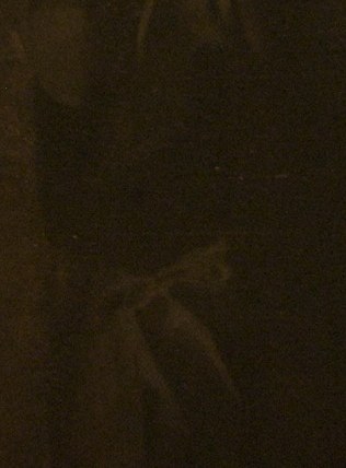 Now look at the one pale thing in this whole dark canvas.