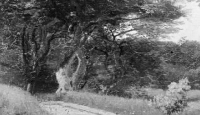Deep shadows stretch across the path.