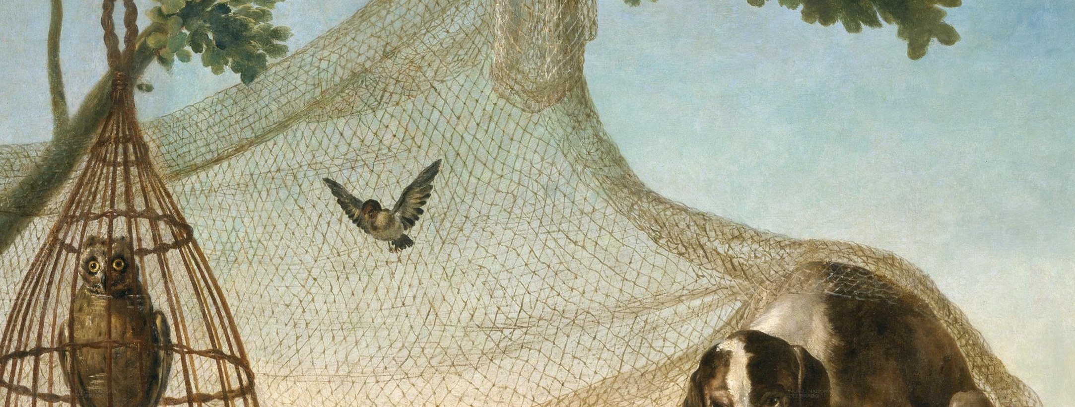 A large net, ready to spring, waits nearby.