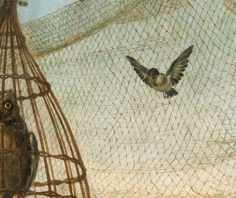 Even a majestic owl is caged, used for its call.