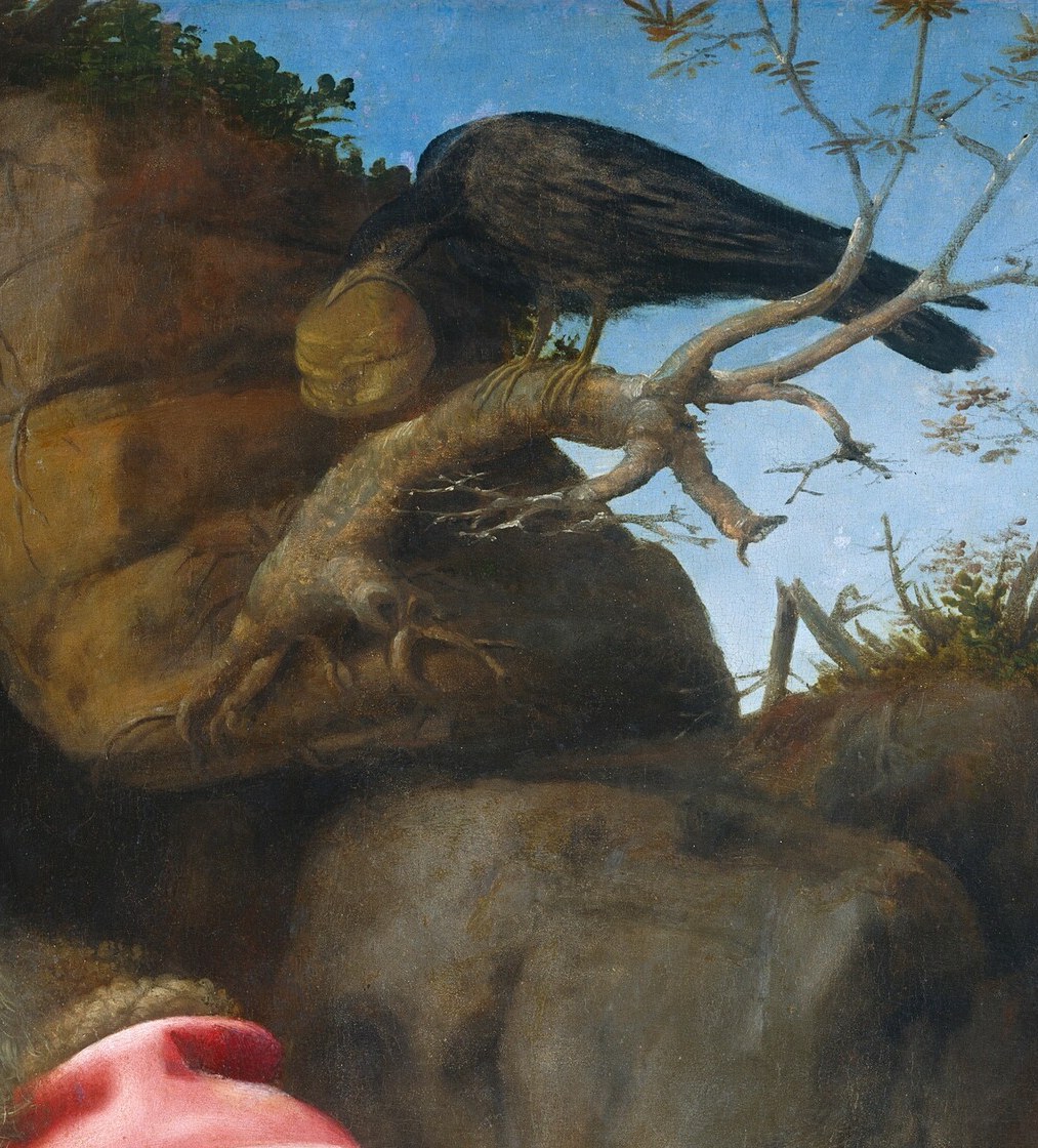 The raven was sent by God to bring him bread and meat.