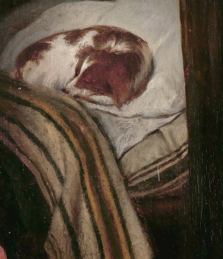 A small dog sleeps on the bed.