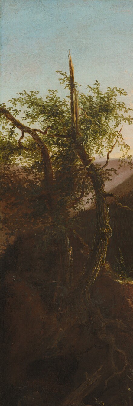 A memento mori motif typical of Cole , the leafless skeleton amid living wilderness frames mortality against sublime nature, and its silhouette anchors the entire left edge.