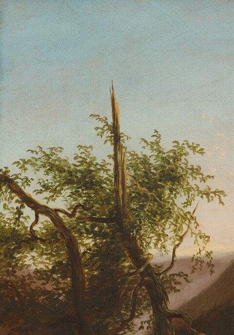 Lush summer leaves grow from the same root zone as the dead tree, creating a life-death binary Cole used repeatedly to humanize wilderness.