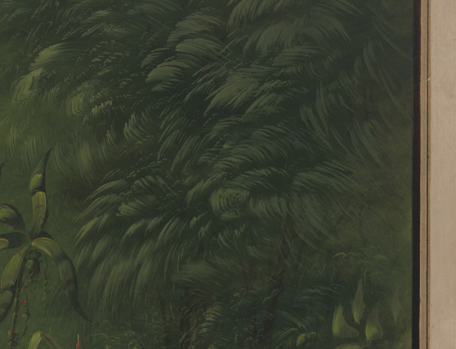 He wanted to see what the wilderness held before it vanished.