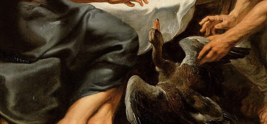 One small bird, and it was everything they had.
