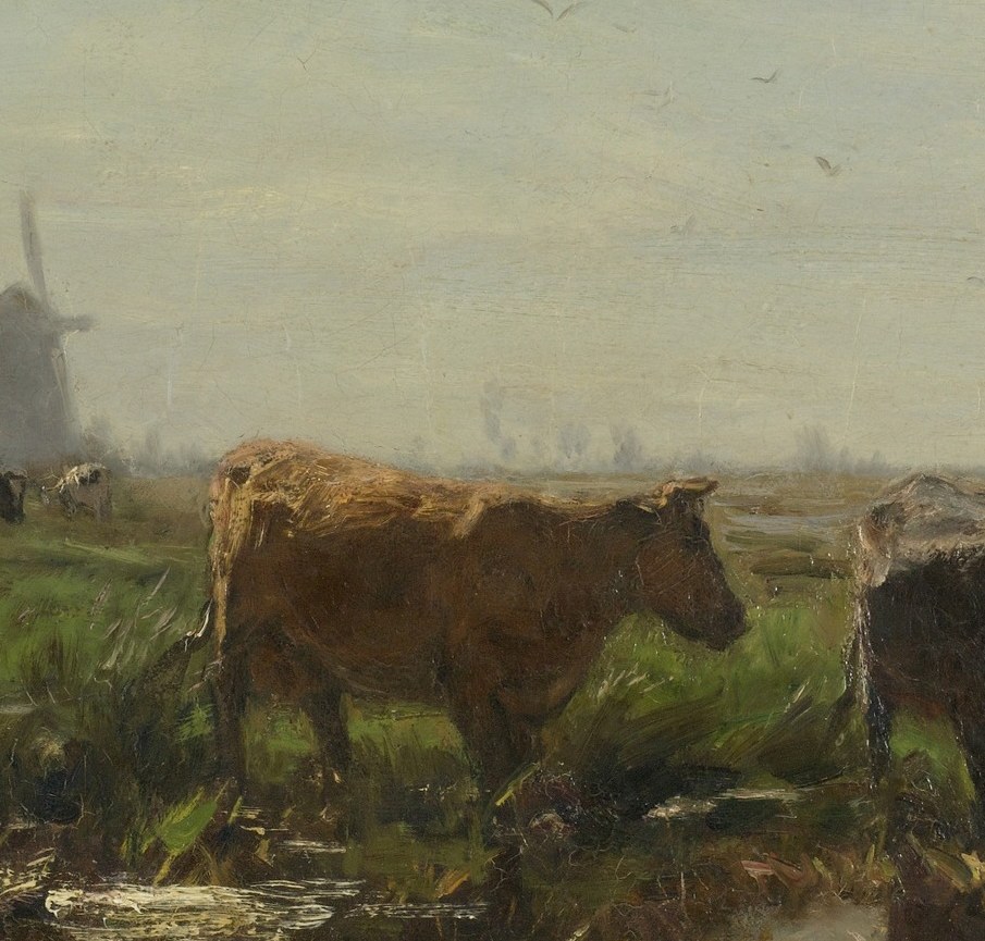 The dominant animal mass anchoring the composition; warm reddish-brown coat contrasts sharply with the muted greens and greys around it, making it the natural first stop for a camera.