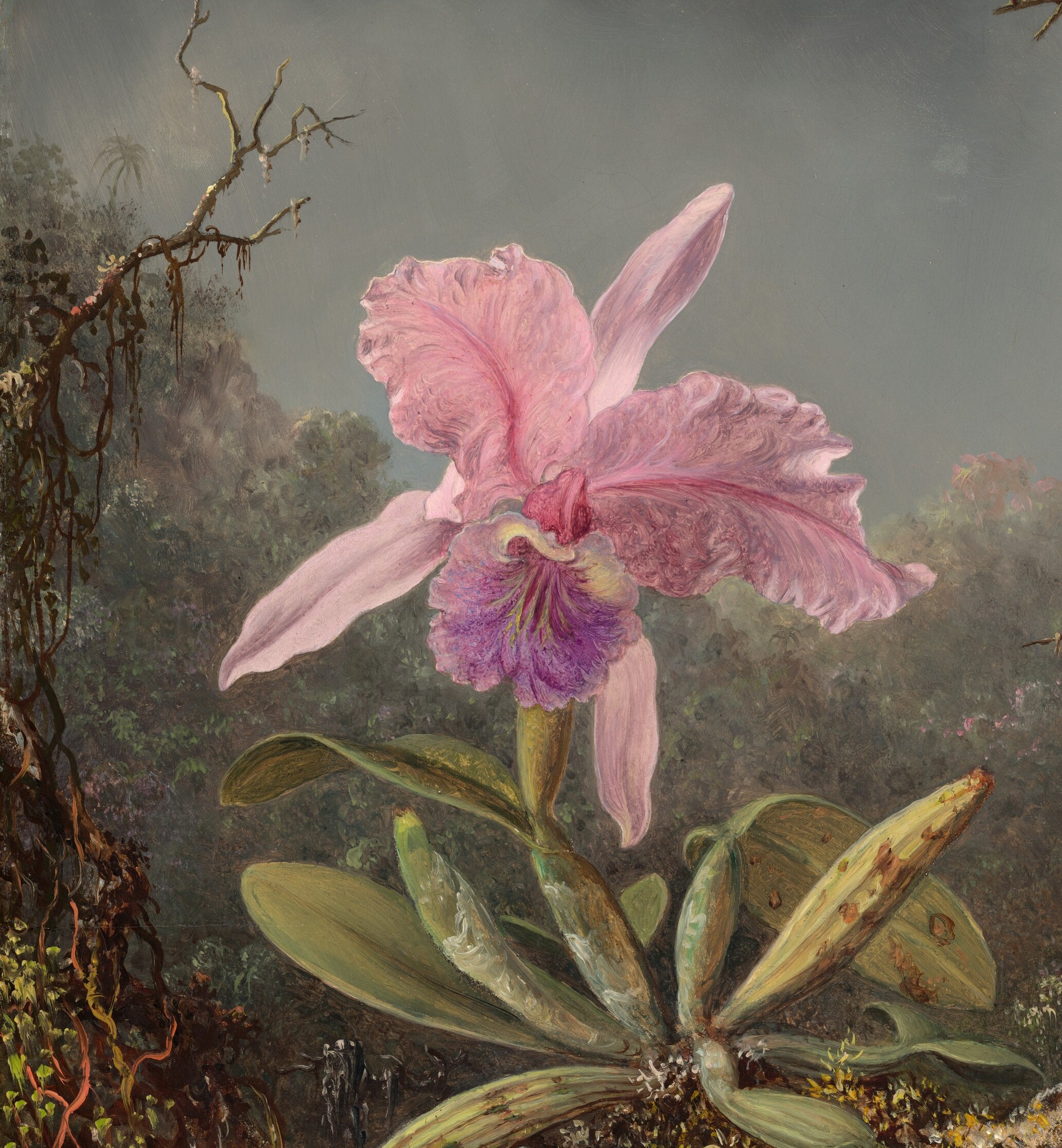 A mania for orchids. And a market for thieves.