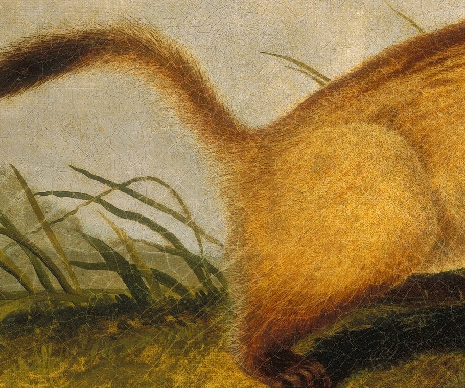 The full, textured tail adds to the animal's wild appearance and balance.