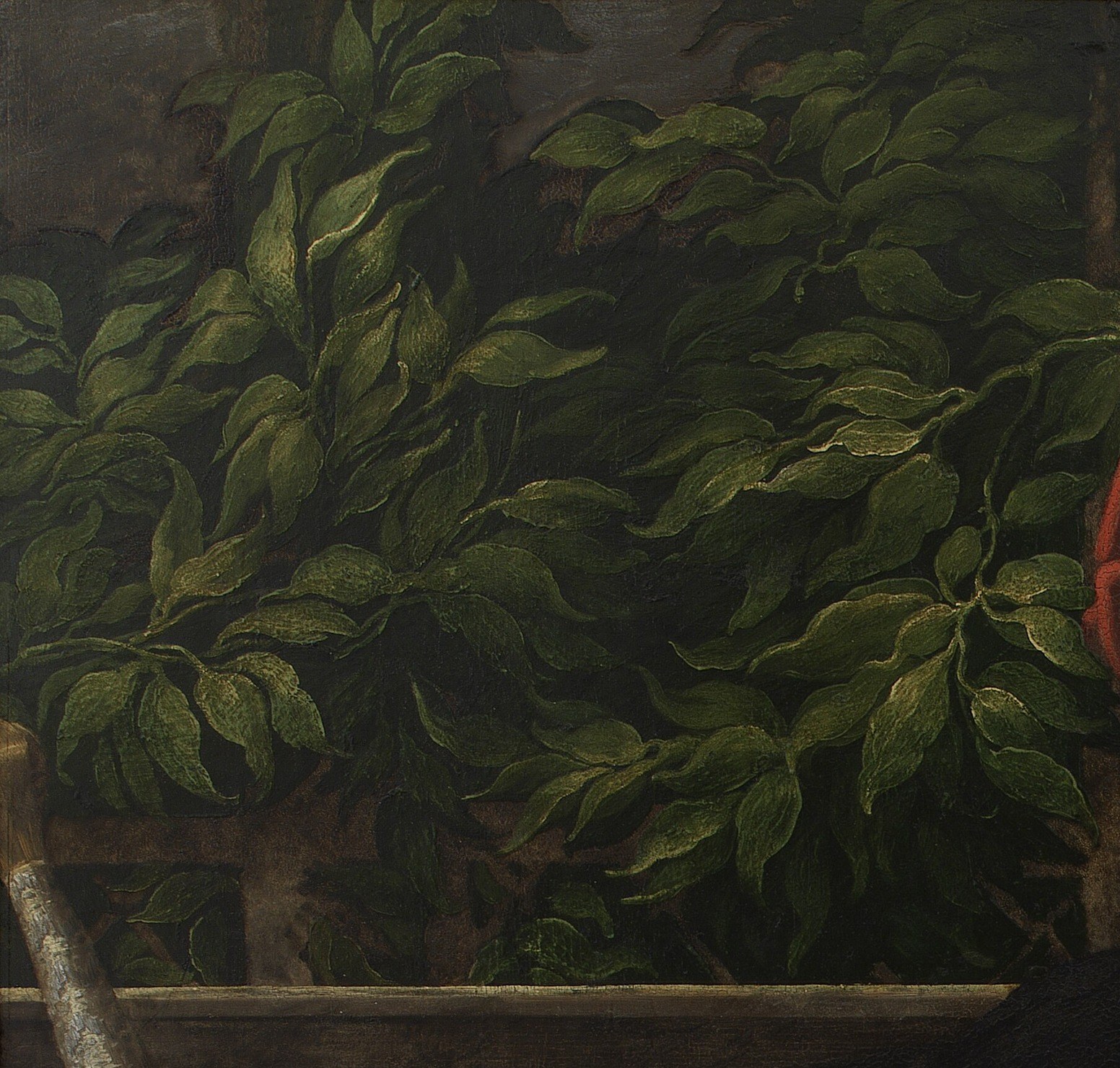 The dense background foliage feels alive, almost rustling.