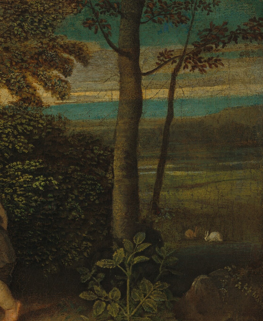 A deep-shadowed mass of foliage , a classic Venetian device , pushes the pale figures forward and gives Saint John a dark backdrop that isolates his form; also closes the composition on the right.