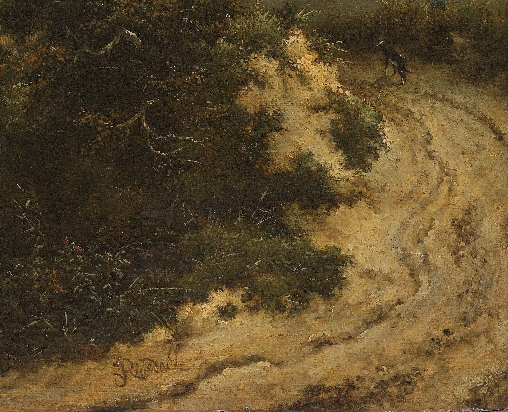 Follow the winding track, leading the eye into the distance.