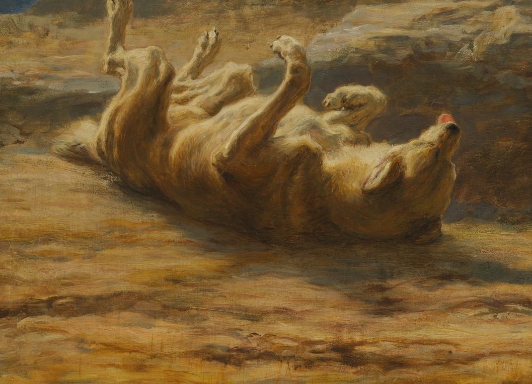 Even the one rolling on its back, full of canine joy.