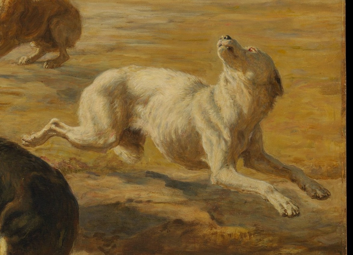 Notice how all the dogs are lively, running or barking.